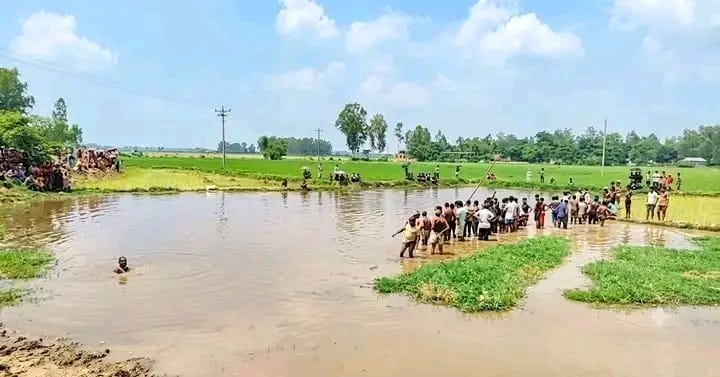 পীরগঞ্জে বিলে ঘাস ধুতে গিয়ে পানিতে ডুবে প্রাণ গেল ওয়াদুদের